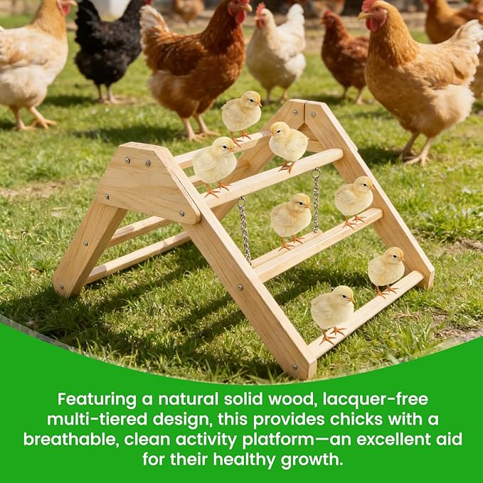 Chick Perch with Wooden Swing, Chick Roosting Bar Coop for Brooder, Chick Wooden Roosting Bar, Training Chicken Perch Fun Chicken Toys for Baby Chicks, Parakeets, Parrots