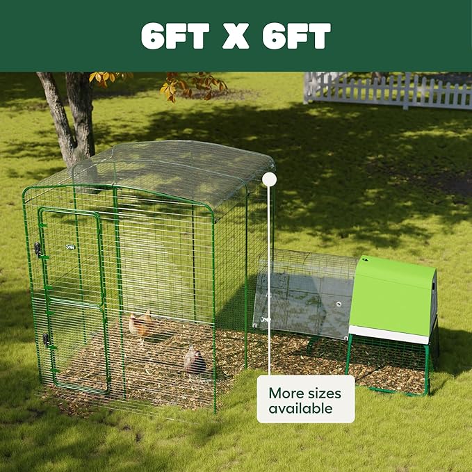 Omlet Clear Chicken Run Tarp | Durable Weatherproof Cover for Poultry Runs | Full Protection from Rain, Wind & Snow | Includes Bungees | 6ft x 6ft