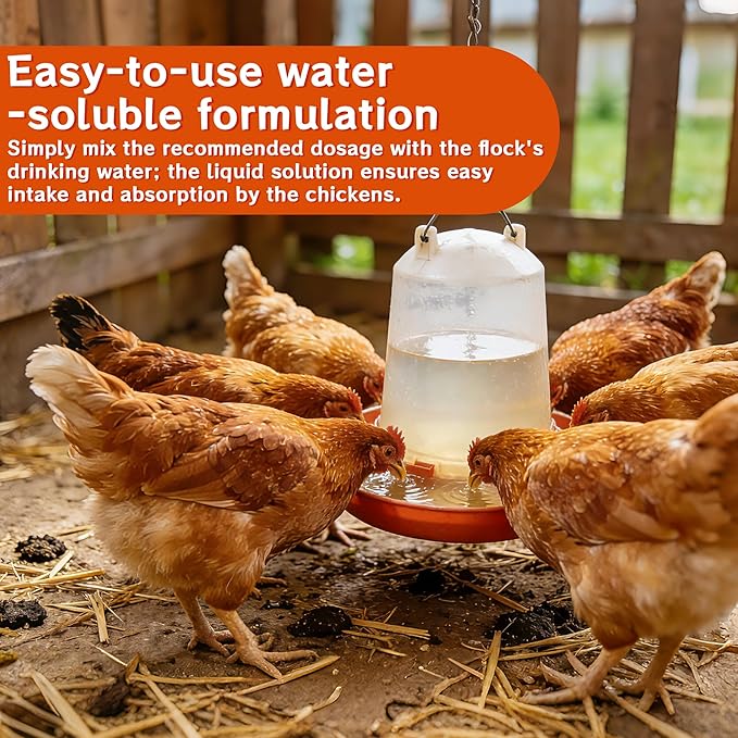 Probiotic + Electrolyte Powder for Chickens, Natural Hydration & Gut Support, Helps Digestive Health, Egg Production