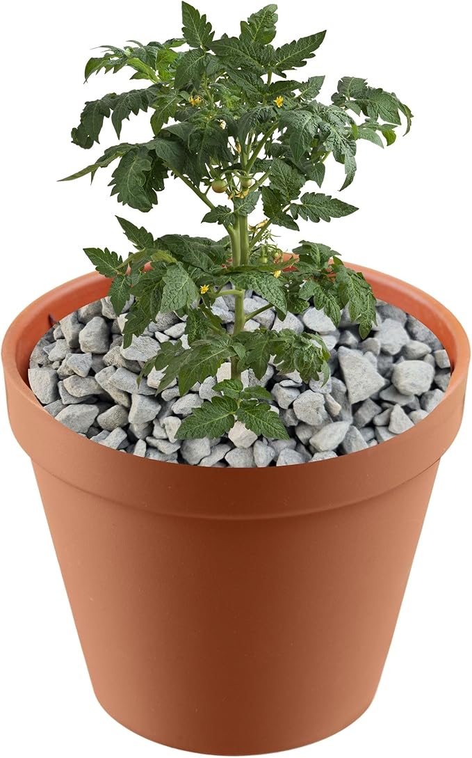 Versatile River Rocks & Garden Stones for Outdoor Landscaping - Ideal Decorative Rocks for Plants Indoor & Outdoor, Rain Forest Rocks, Landscaping Stones Half-Quart