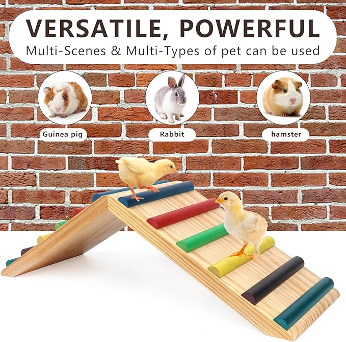Rainbow Chicken Perch and Ramp Trainer, 2 in 1 Sturdy Wooden Chicken Roosting Bar, Baby Chick Toys for Brooder, Chicken Coop Accessories, for Small Animal, No Assemble