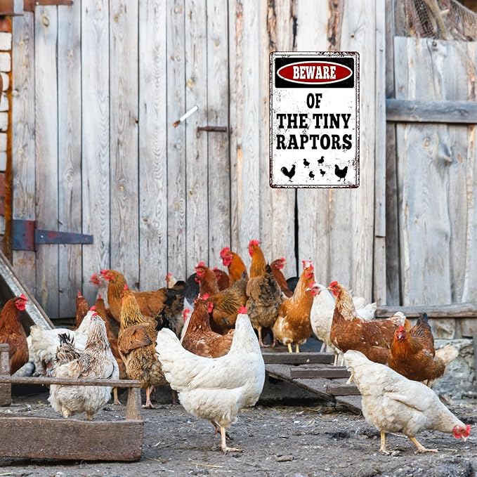 Vintage Metal Sign, Beware of The Tiny Raptors, Chicken Coop Decor, Rustic Farm Wall Art,Funny Chicken Art Tin Sign for Home Kitchen Outdoor Decor 8“×12”