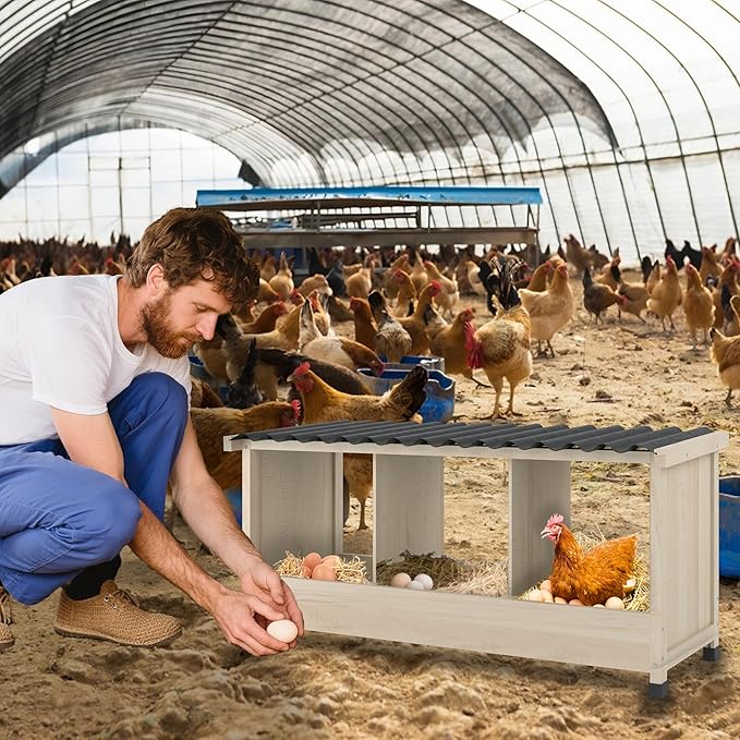 Chicken Nesting Box, 3 Holes Wooden Nesting Box, Hens-Wall Mounted or Floor Use, Chicken Coop Accessorie with PVC Roofing, Preventing Egg Falls, Easy to Assemble, Backyard and Farms