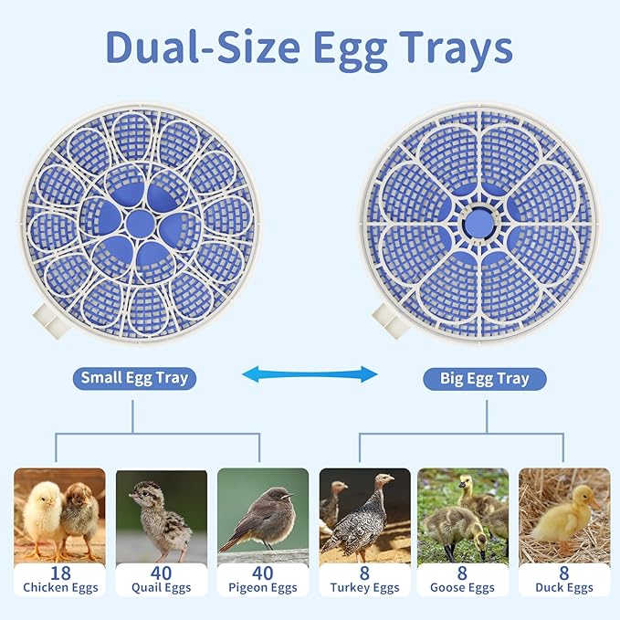 18 Egg Incubator with Incubation Day & Humidity Display, 2 Egg Trays, Automatic Egg Turning, Egg Candler, Automatic Refill, Adjustable Air Vent, for Chicken, Quail, Duck, Turkey & Goose Eggs, Lab