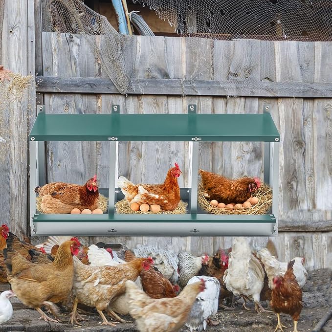 Chicken Nesting Boxes for Laying Eggs, Wall Mount Metal Poultry Nest Box for Hens, Large Vented Holes Chicken Coop Box, Galvanized Steel Nesting Boxes for Hens (Green, 3 Compartment)