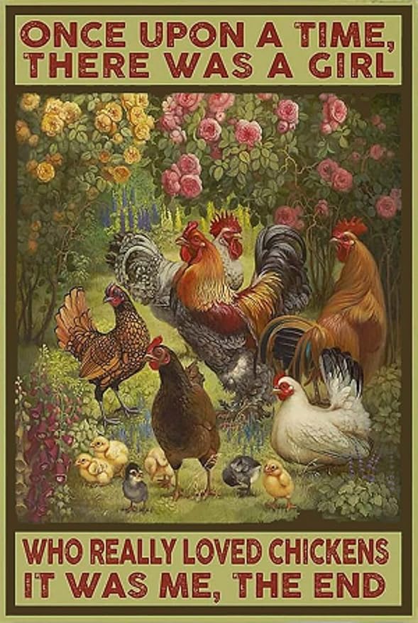 Cusde Once Upon A Time There Was A Girl Who Really Loved Chickens It Was Me The End Poster Metal Tin Sign Vintage Aluminum for Farm Chicken Coop Wall Decor 8x12 Inch