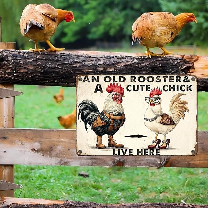 PEACHGARDEN Funny Chicken Metal Sign An Old Rooster A Cute Chick Live Here Vintage Tin Sign for Home Farm Chicken Coop Farmhouse Kicthen Garden Decor 8X12inch