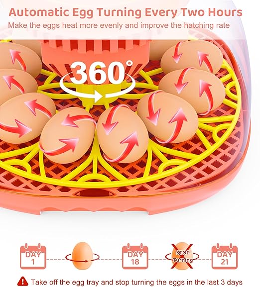 12 Egg Incubator for Hatching Eggs, Smart Temperature and Humidity Control, Automatic Egg Turning, Incubator for Hatching Chicken, Quail, Duck Eggs, 360° Clear View for Home, Classroom, Farm