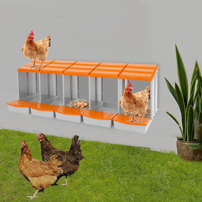 Chicken Nesting Boxes 5 Compartment PP Nesting Box with Inclined Nesting Boxes & Vented Holes Wall Mount Chicken Laying Boxes for Chicken Coop (Orange)