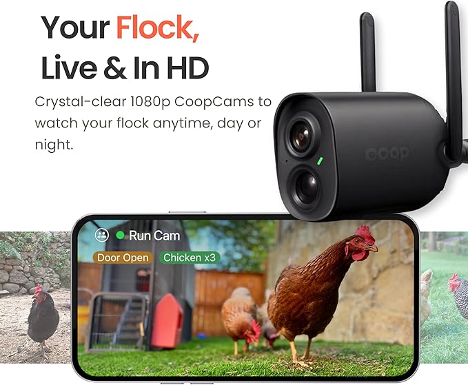 Smart Coop All-in-One Chicken Bundle Predator-Proof All-Weather Chicken Coop with Dual Smart Cameras, Automatic Door, Solar Kit, All-Weather Tarp for 4-6 Chickens