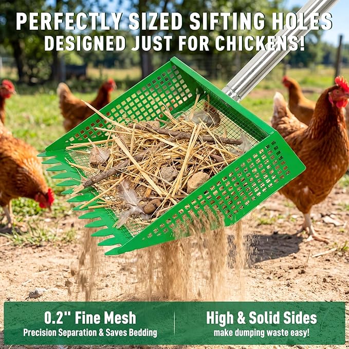 TOOGE Upgraded Chicken Poop Scooper: 10" Metal Pooper Scooper & Rake 4-Section 62" Long Handle Chicken Coop Scoop Scoopers Accessories Large Sand Sifting Litter Shovel for Goats/Yard/Farm/Beach Green