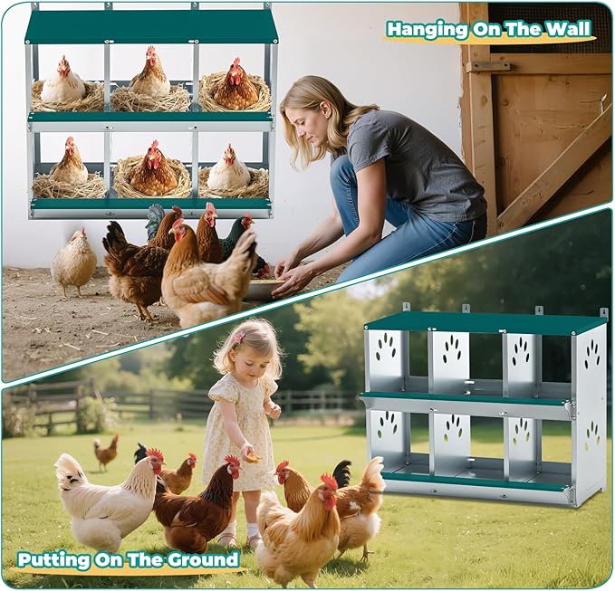 Chicken Nesting Box for Laying Eggs, Metal Chicken Laying Boxes Wall Mountable, Easy Egg Collection Roll Away Nesting Boxes, Chicken Coop Nesting Boxes for Hens, 6 Compartments