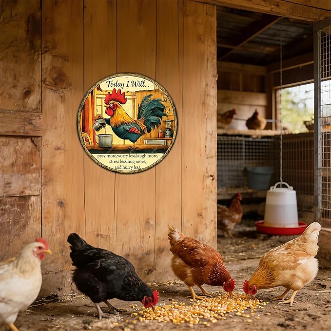 Chicken Signs Rooster Kitchen Round Wall Decor Today I Will Pray More Worry Less Metal Tin Sign Funny Chicken Coop Accessories Rooster Decor Home Garden Farm Yard Office 12 Inch