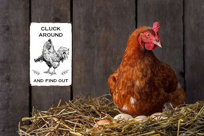 Funny Chicken Gifts Chicken Cluck Around and Find Out Tin Sign for Home Farm Chicken Coop Farmhouse Kicthen Garden Decor 8x12 in