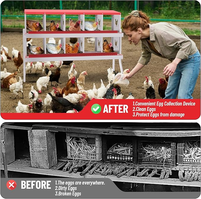 Chicken Nesting Box,10 Compartment Metal Poultry Nest Box Wall Mount, Metal Roll Away Eggs Laying Boxes with Legs, Easy Egg Collection, Easy Cleaning,10 Room Chicken Coop for Hens