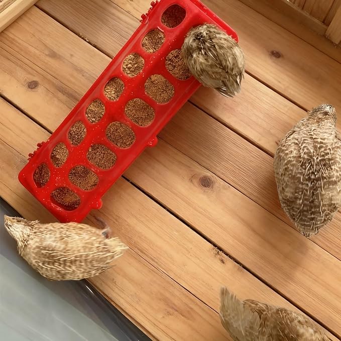 2 Pack Chicken Feeder 16 Holes Chick Feeder No Waste 30cm Chicken Feeder and Waterer Set Poultry Feeders for Chicken Chick Birds Pigeon Coop