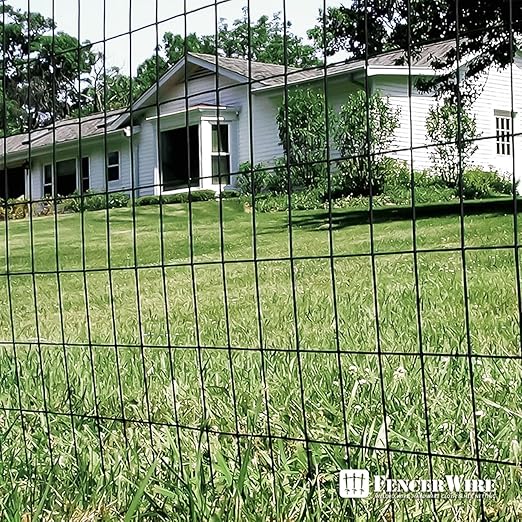 Fencer Wire 16 Gauge Green Vinyl Coated Welded Wire Mesh Size 2 inch X 3 inch, Black, 2x50 ft