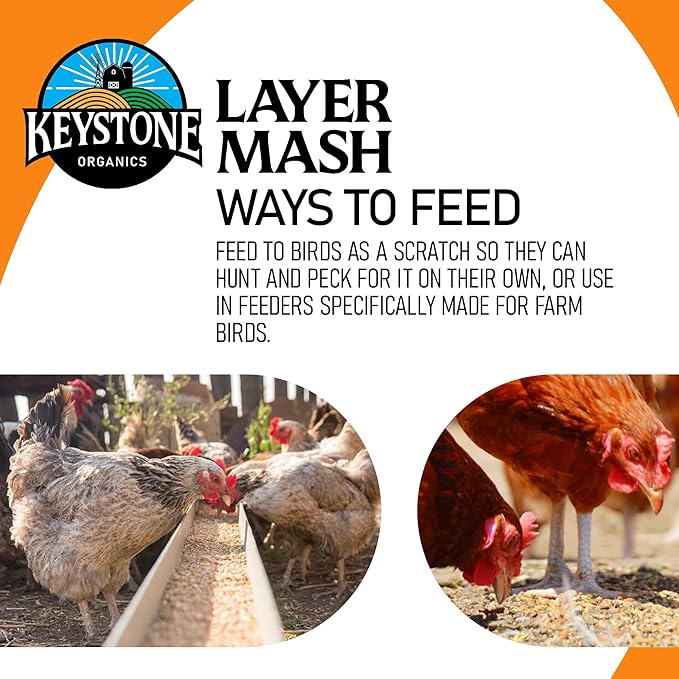 Layer Mash Chicken Feed – 44lb Bag – Non-GMO, High Calcium for Strong Eggshells – for Chickens, Ducks, Geese, Pheasants & Guineas – No Artificial Hormones