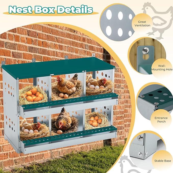 Chicken Nesting Box 6 Compartments, Metal Chicken Laying Boxes Wall Mountable, Easy Egg Collection Roll Away Nesting Boxes Chicken, Chicken Coop Nesting Boxes for Hens Laying Eggs