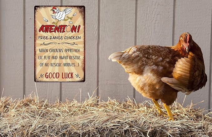 Retro Funny Chicken Tin Sign,Vintage Chicken Coop Metal Poster, Farm Free-Range Chicken Wall Art Decor for Outdoor Home Fence Kitchen Bedroom,Gifts 8×12 Inches (FREE-RANGE CHICKEN)