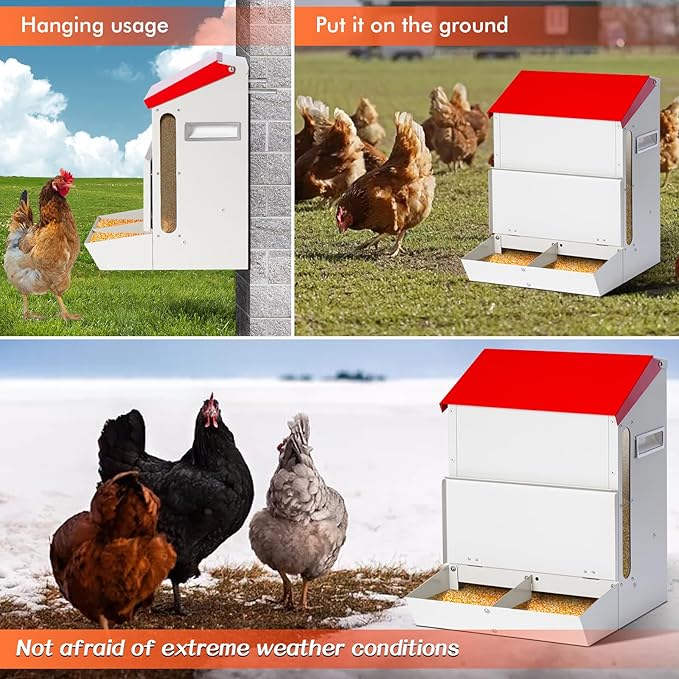 Galvanized Wall Mount Chicken Feeder No Waste Hanging Chicken Feeder with Lid Weatherproof Metal Automatic Poultry Feeder Trough Food Dispenser Mess Free for Duck Geese, Hens, Turkeys Coop