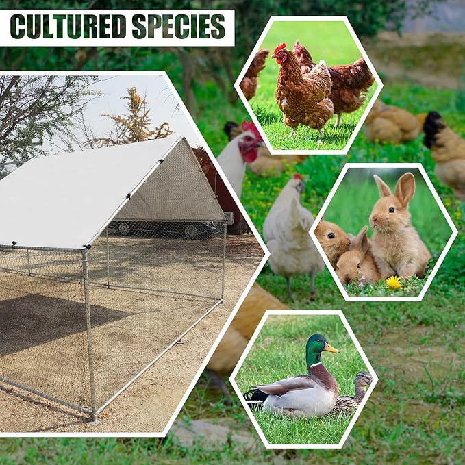 Large Metal Chicken Coop Walk-in Poultry Cage Hen Duck Run House with Waterproof & Anti-UV Cover Galvanized Rabbits Habitat Spire Shaped Cage for Outdoor Yard Farm Use