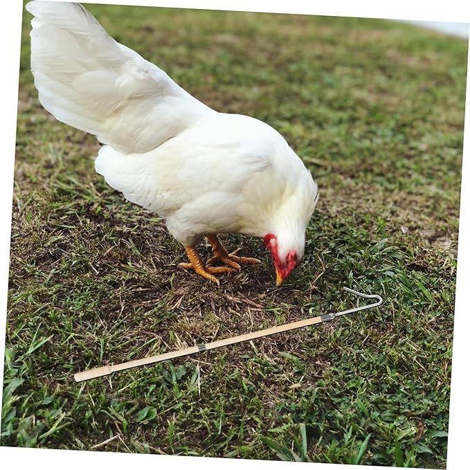 Chicken Catcher Tool Hanging Feeder Leg Hook for Poultry Catching Farm Equipment