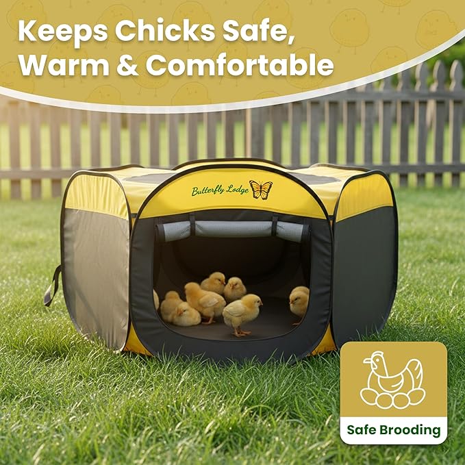 Chicken Brooder Box for Chick Starter Kit - 45" Brooder Box for Chicks - Large Chicken Brooder and Pet Tent - Brooder Box with Feeder, Waterer, and Cleaner - Chicken Box for Indoor Use