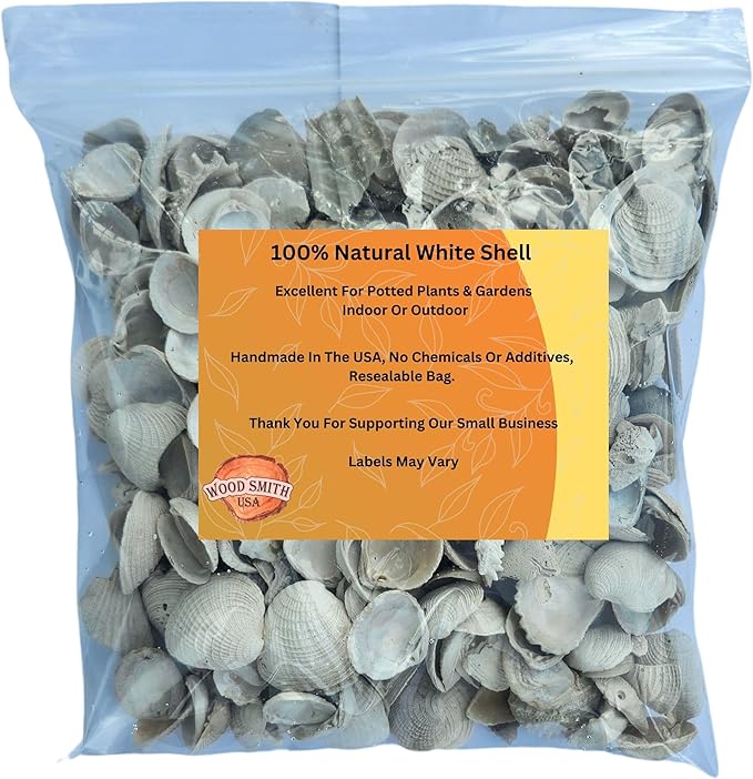 Versatile Shells for Outdoor Landscaping - Ideal Decorative Rocks for Plants Indoor & Outdoor, White Shell, Landscaping Stones. 2 Quart
