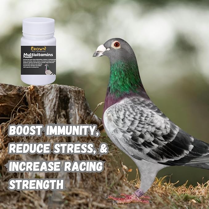 Multivitamin Powder for Pigeons – Ultimate Vitamin Formula for Racing & Breeding – Supports Growth, Bone Strength, Reproductive Health & Feather Health - Promotes Peak Performance & Well-Being 50g