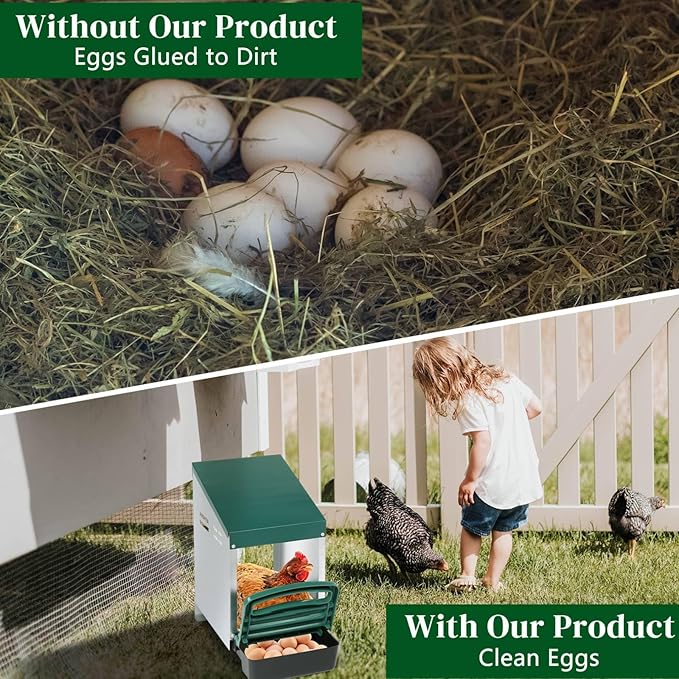 Chicken Nesting Boxes, Single Roll Out Poultry Brooder Box with Plastic Basket, Strong and Durable Single Compartment Chicken Laying Box, Perch Cover for Hen, Chicken Coop (Green)