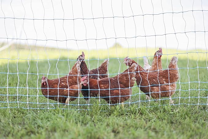 Starkline Standard Electric Poultry Netting 42" x 82' (11/42/3) Electric Chicken Fencing for Backyards, Homesteads, Farms, and Ranches