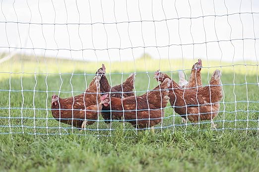 Starkline 42" x 164' Standard Electric Poultry Netting Kit with A/C Energizer (11/42/3) Electric Chicken Fence Kit for Backyards, Homesteads, and on Farms and Ranches