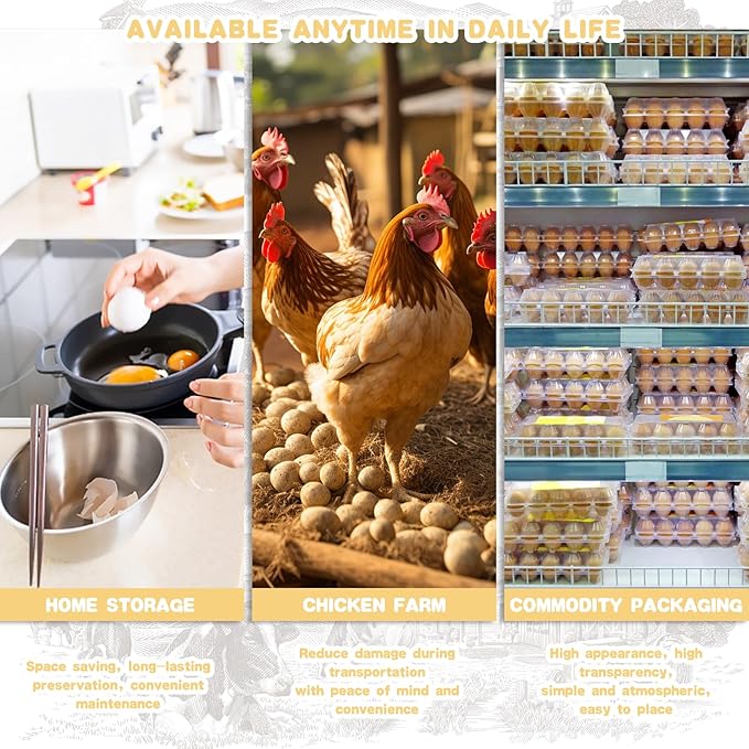 Septo 2 x 6 Plastic Egg Cartons for 12 Eggs,50 Pcs Egg Cartons Cheap Bulk Clear Reusable Tray Refrigerator Chicken Farm Markets