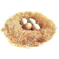 BWOGUE 100g/3.5oz Natural Grass Nesting Pads for Chicken Hens Birds Nest Bedding