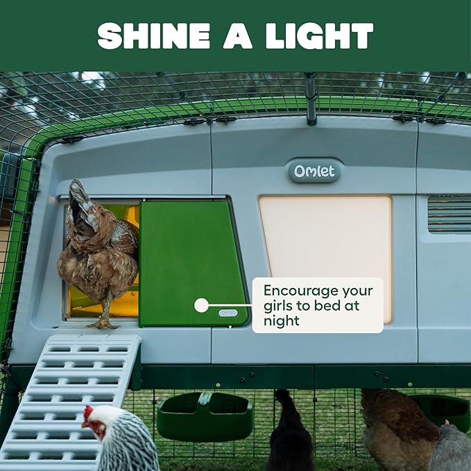 Omlet Coop Light for The Automatic Chicken Coop Door Opener | Encourages Your Flock to Roost | Add Gentle Illumination to Their House | Light Only