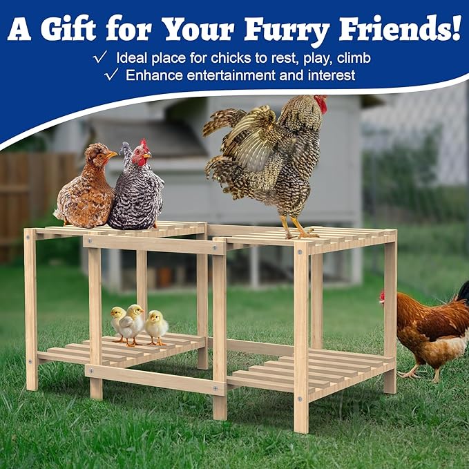 Chicken Perch, Unique Chick Jungle Gym, Strong Roosting Bar Chicken Ladder for Coop & Brooder, Large Chicken Supplies for Coop Accessories, Training Perch Toy for Chickens, Chick, Poultry