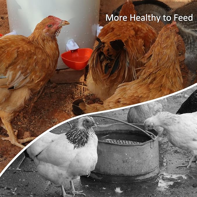 Large Chicken Waterer Feeder Automatic DIY Chicken Water Cups for Chick Duck Quail Poultry Waterer Kit (Orange)