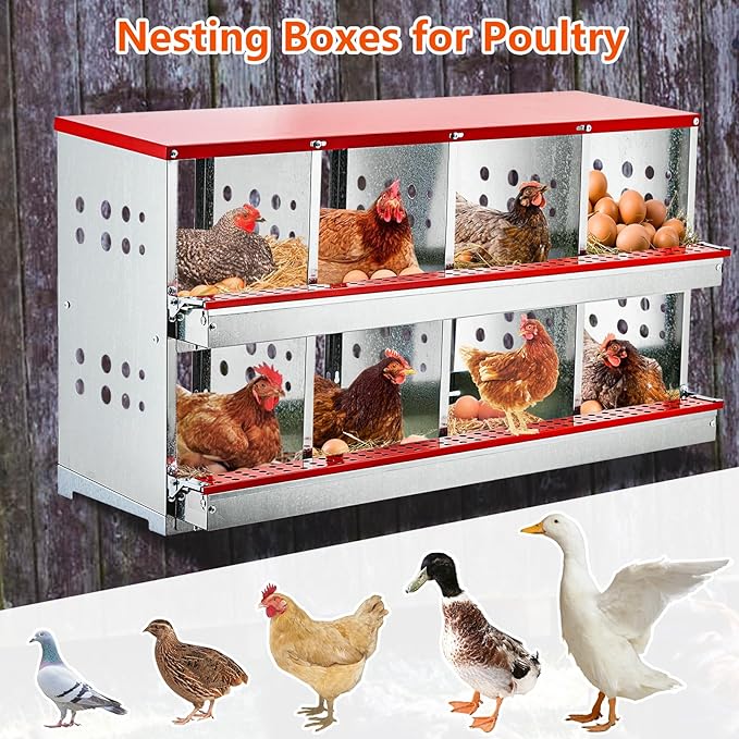 Garvee Chicken Nesting Boxes for Laying Eggs, 8 Compartment Metal Roll Out Away Nesting Boxes for Hens, Nesting Gift Boxes for Chickens Duck Poultry, Heavy Duty Chicken Coop with Perch