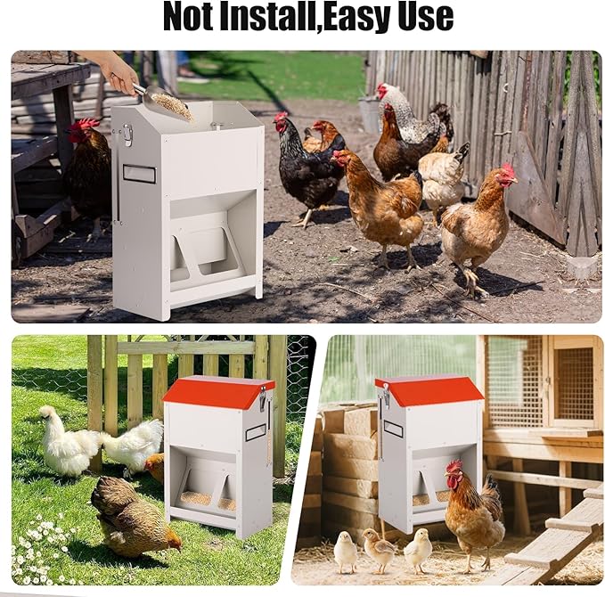 Chicken Feeder Wall Mount - No Spill Feeder No Waste for Poultry and Duck - Hanging Chicken Food Dispenser for Oyster Shell & Grit