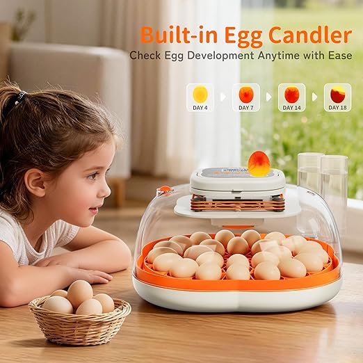 25 Egg Incubator, Extra-Large Interior with High Protective Wall, Top Carry Handle, Automatic Egg Turner, Preset Incubation Period, Auto Water Refill, for Chicken, Quail & Duck Eggs, APDOE HatchPro 25