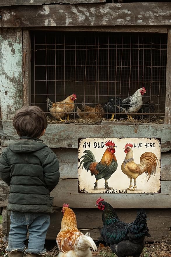 Funny Chicken Metal Sign An Old Rooster A Cute Chick Live Here Vintage Tin Sign For Home Farm Chicken Coop Farmhouse Kicthen Garden Decor 16x12 Inch