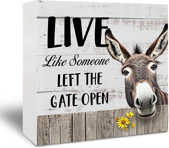 Rustic Farmhouse Wooden Sign - Funny Retro Donkey Decor, Office Decor for Women, Donkey Lovers Gifts, Live like Someone Tabletop Shelf Desk 5x5 Inch