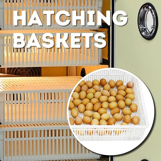Incubators for Hatching Eggs – HB175H Egg Incubator Hatcher, Automatic & Self-Regulated Temperature & Humidity, Chicken Egg Incubator, Professional Cabinet Poultry Incubator by Cimuka