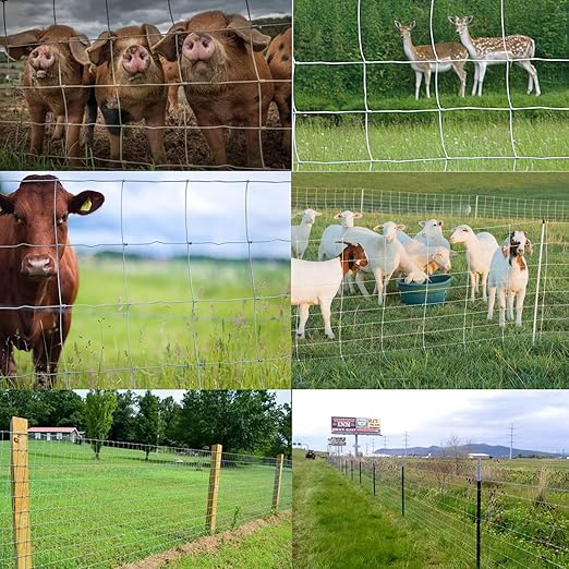 Farm Fence 6ft x 100ft Heavy Zinc Coating Field Wire Fencing, Galvanized Livestock Deer,Goat Fence,Hog Wire Fencing Used to Yard and Garden