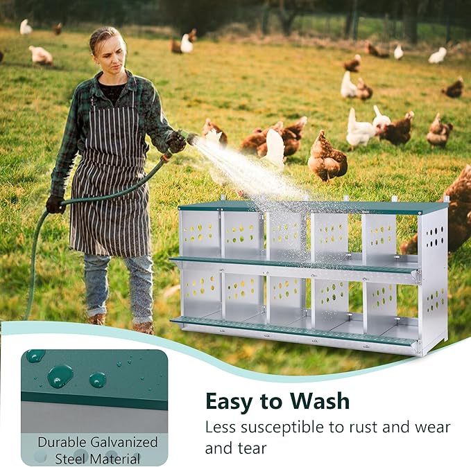 3/4/6/8/10 Holes Chicken Nesting Box for Chickens Hens Ducks, Metal Nesting Boxes for Chickens Wall Mount Egg Laying Nesting Boxes for Chicken (Green, 10 Compartment)