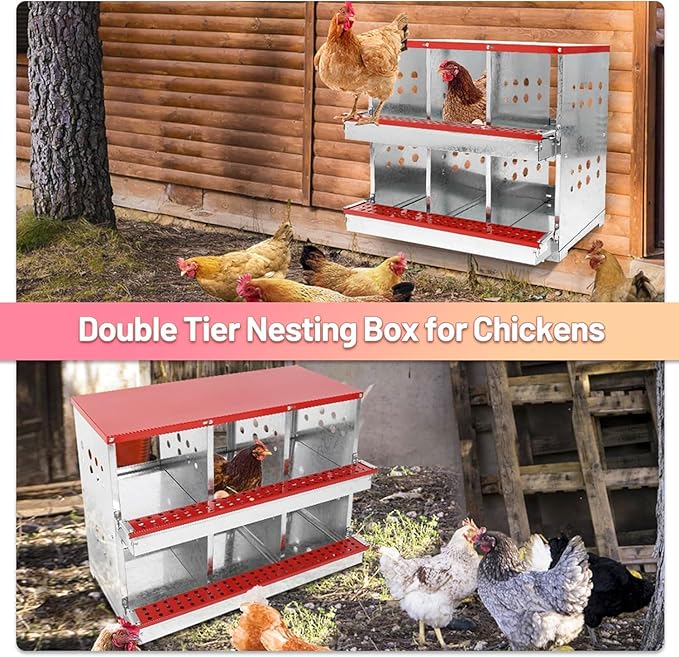 Chicken Nesting Boxes - 6 Compartment Metal Poultry Nest Box Wall Mount for Chickens, Hens, Ducks - Easy Egg Collection - Large Holes Chicken Coop Equipment (6 Compartment)