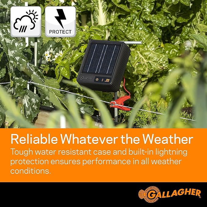 Gallagher S6 Solar Electric Fence Charger | Solar Fence Energizer for Gardens, Chickens, Goats, and Pets | Solar-Powered Fence Charger with Lithium Battery | Mounts Directly to Grounding Rod