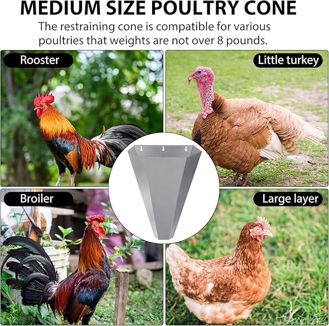 Chicken Cone, Galvanized Steel Poultry Restraining Cone with Safety Gloves, for Chickens, Broilers, Roasters, and Turkeys Up to 15 Pounds, Flat-Back Design, Easy to Clean (1 Pack)