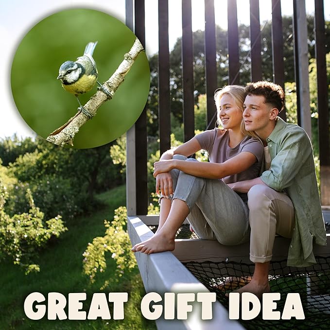 SWISSINNO Bird Feeders - No Mess Fat Ball/Suet Feeder for Outdoors Hanging - Smart Birds Lucerne Spill Proof Wild Cardinal Bird Feeder with Integrated Seed Catcher Tray - Green